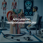 Articulación temporomandibular